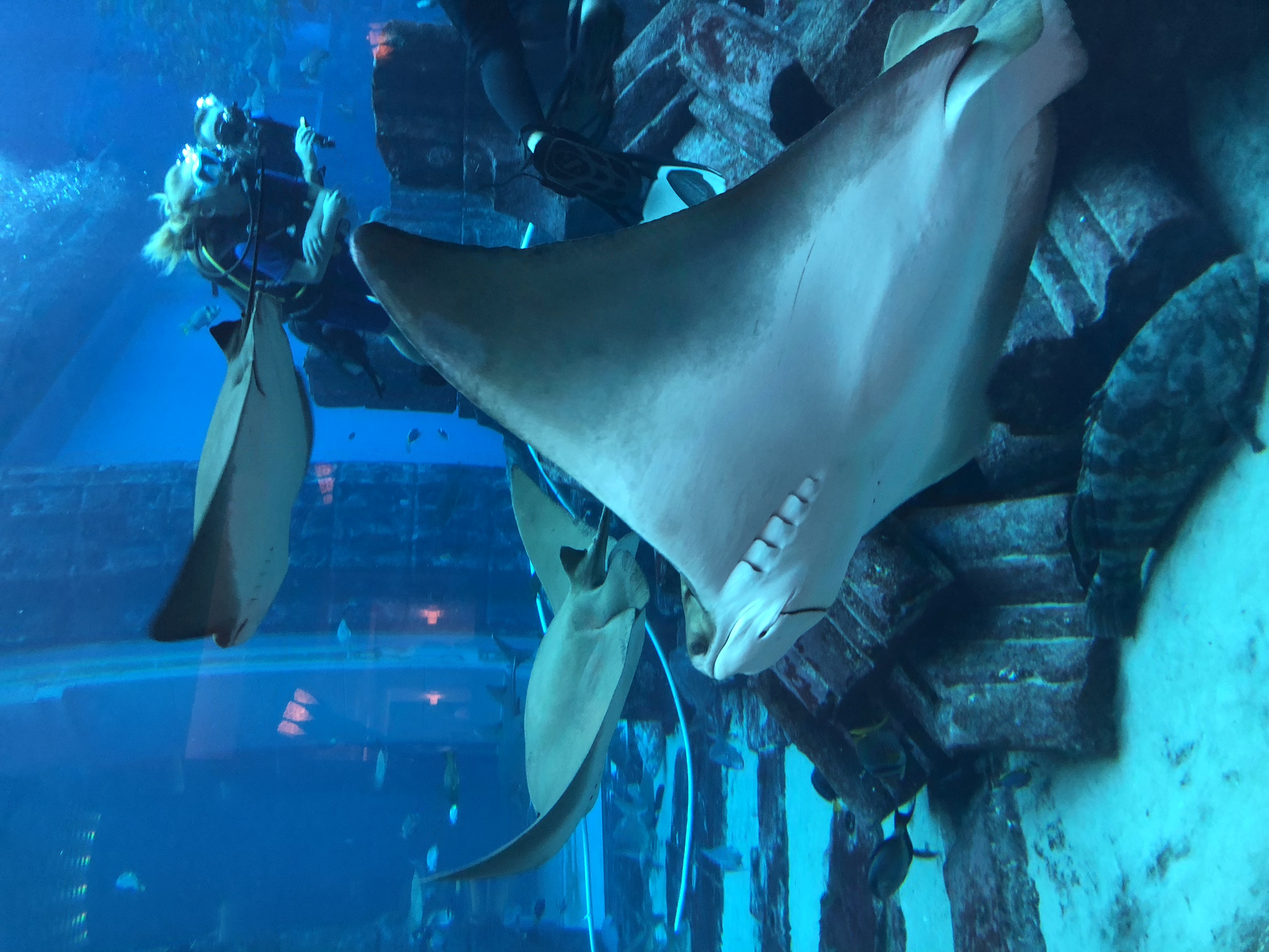 3ACB8342-3F5C-4948-B9F8-7274DB890475