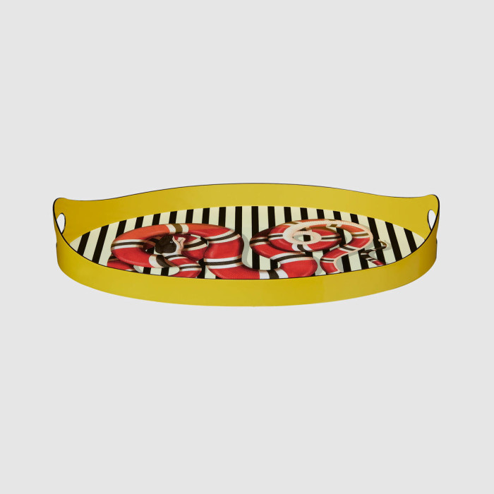 482762_ZAM01_7711_002_100_0000_Light-Kingsnake-oval-metal-tray